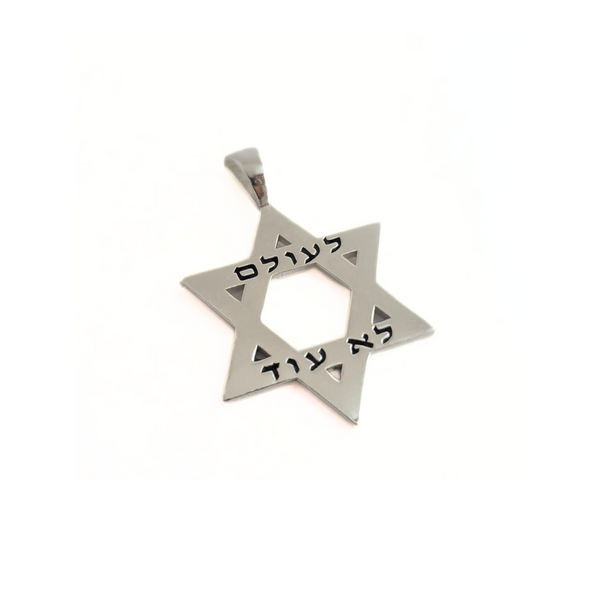 "Never Again" Star of David / HO4