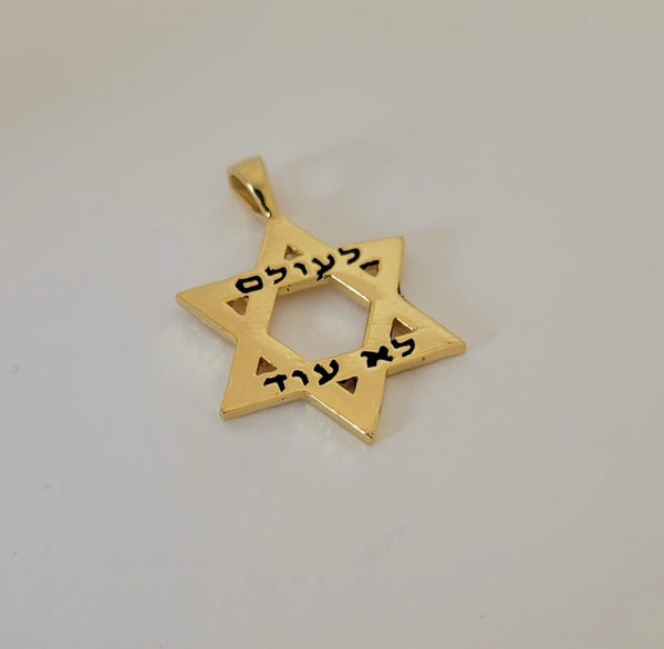 “Never Again” Star of David Pendant /#HO5