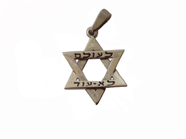Star of David - Never Again Pendant (Hebrew) / #HO3